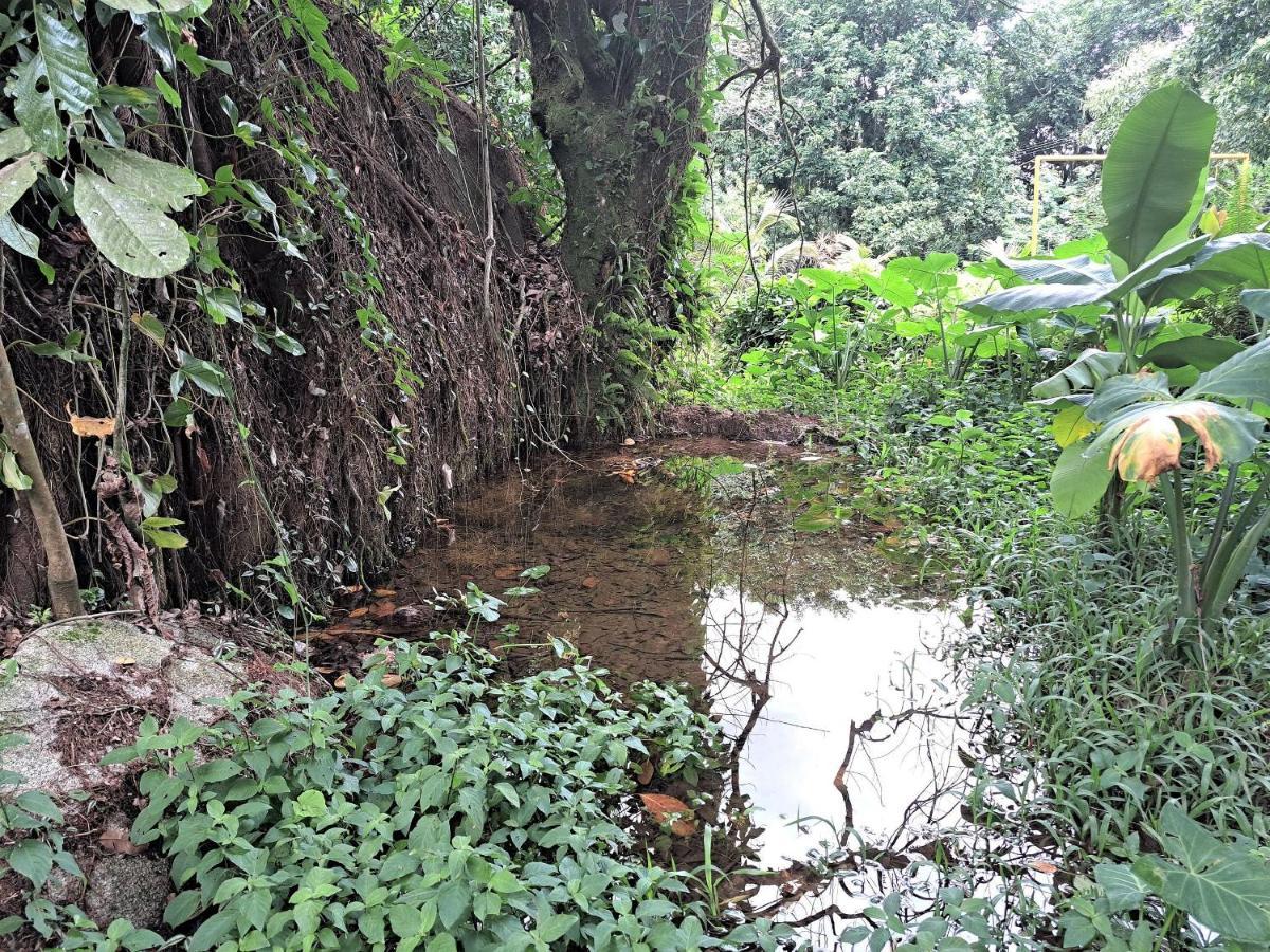 Paradisiaco, Piscina E Churrasqueira Em Guapimirim Eksteriør bilde